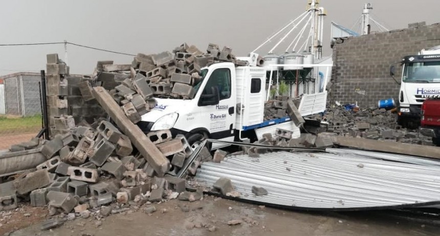 Julieta Calzada: "Fueron pocos minutos pero adem&aacute;s de la luvia el viento fue muy fuerte e hizo da&ntilde;os importantes"