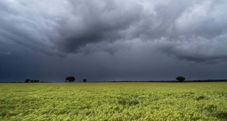 Lluvias en la zona: hubo registros que oscilaron entre los 10 y 30 mil&iacute;metros