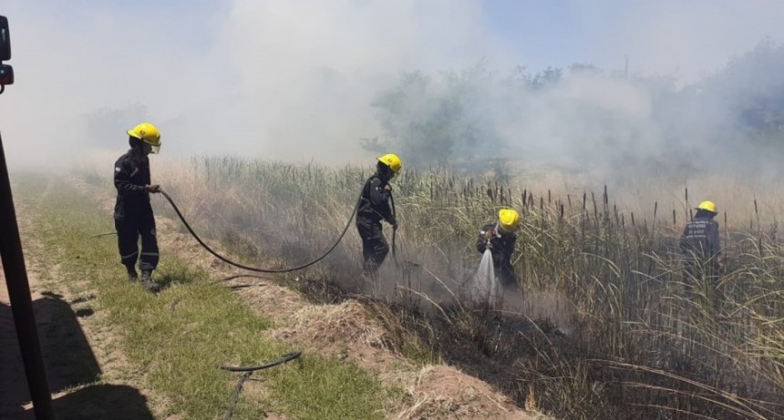 Bomberos terminan el a&ntilde;o con intenso trabajo
