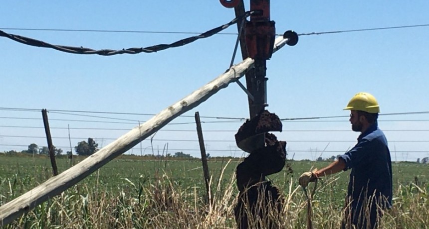 La Cooperativa El&eacute;ctrica trabaja intensamente para reestablecer el servicio tras la ca&iacute;da de postes en zona rural del partido de Bol&iacute;var
